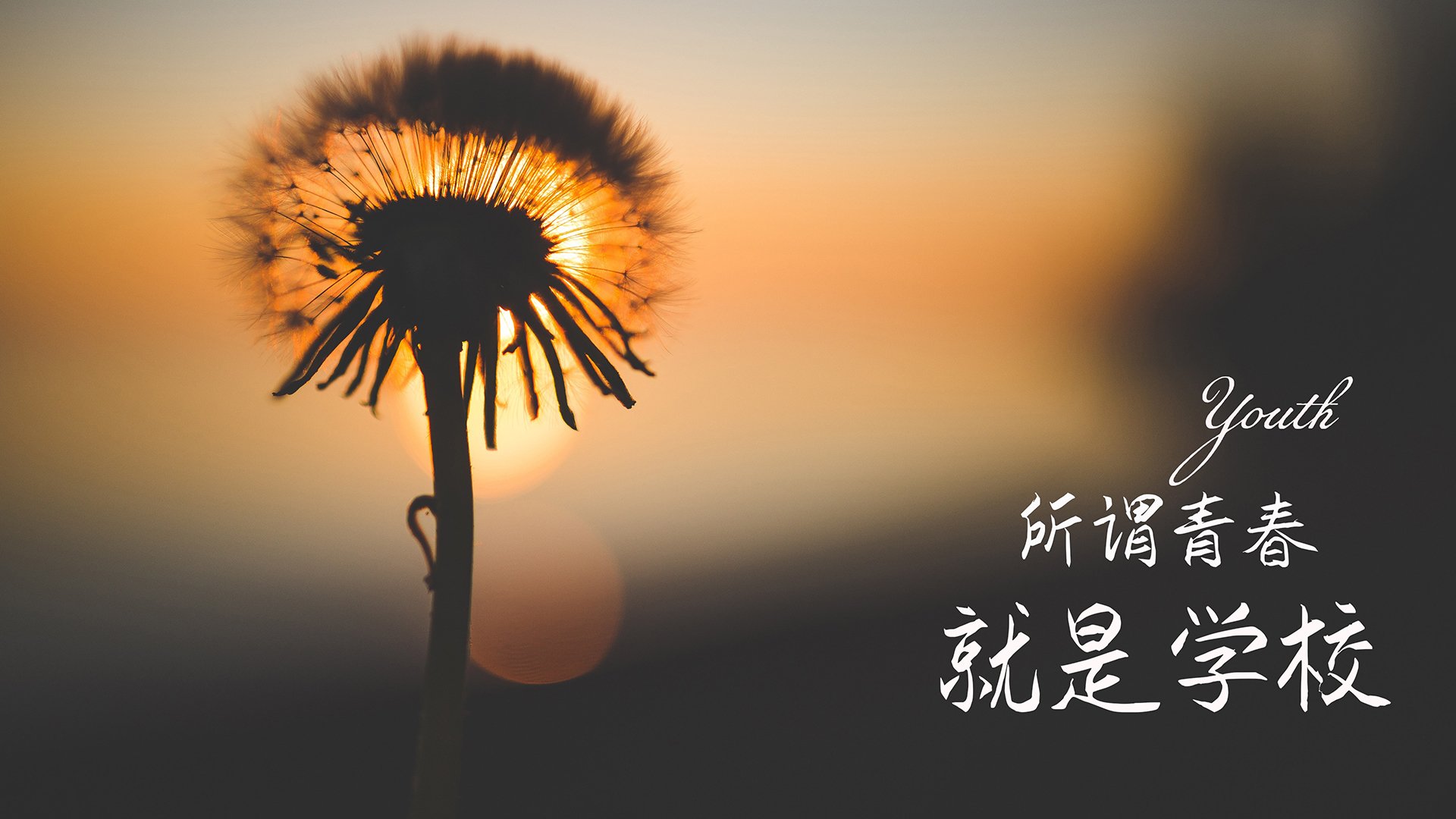 中国男篮后卫线竞争激烈 多名新星脱颖而出，中国男篮后卫都有谁