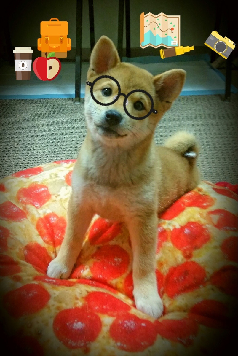 球队是否构建后场缓冲区域延缓高位压迫效果，后场球员什么意思