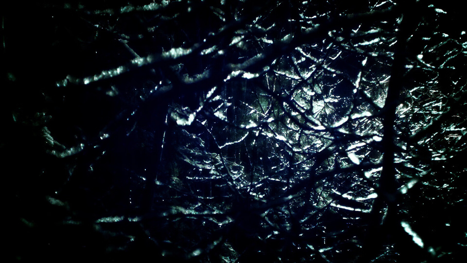 “亚戈·卡尔曼的传球与组织能力，成为阿根廷美洲狮队的战术核心”