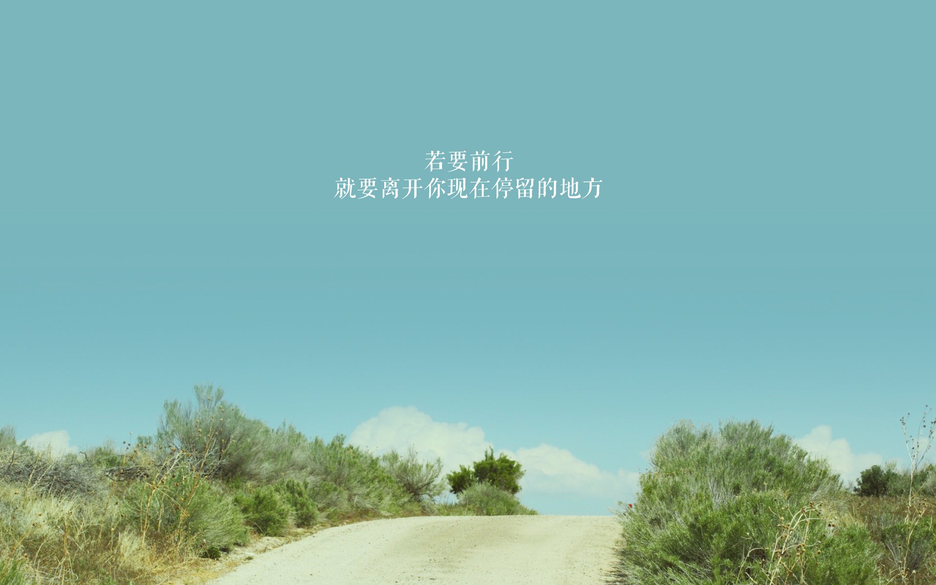 仰泳赛道荷兰强将稳定晋级，仰泳冠军的慢动作视频